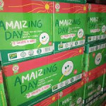 AMAIZING DAY INSTANT CEREAL 600g CARTON