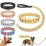 DOG LASH &amp; CHAIN BIG