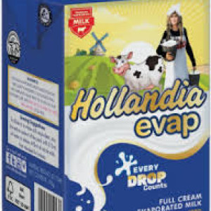 HOLLANDIA EVA 190G CARTON