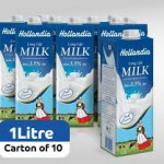 HOLLANDIA LONG LIFE MILK 1 LITER CARTON