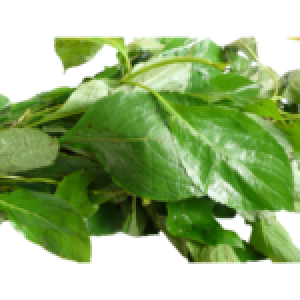 SCENT LEAVES 150G