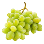SEEDLESS WHITE GRAPES IMPORTED